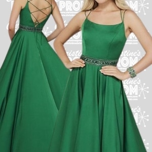 Prom Dress 1004