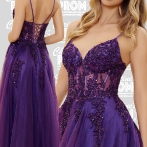 Prom Dress 1027